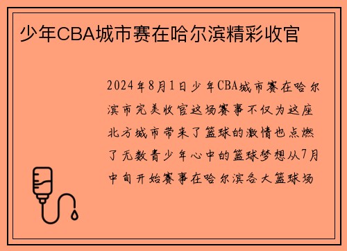 少年CBA城市赛在哈尔滨精彩收官